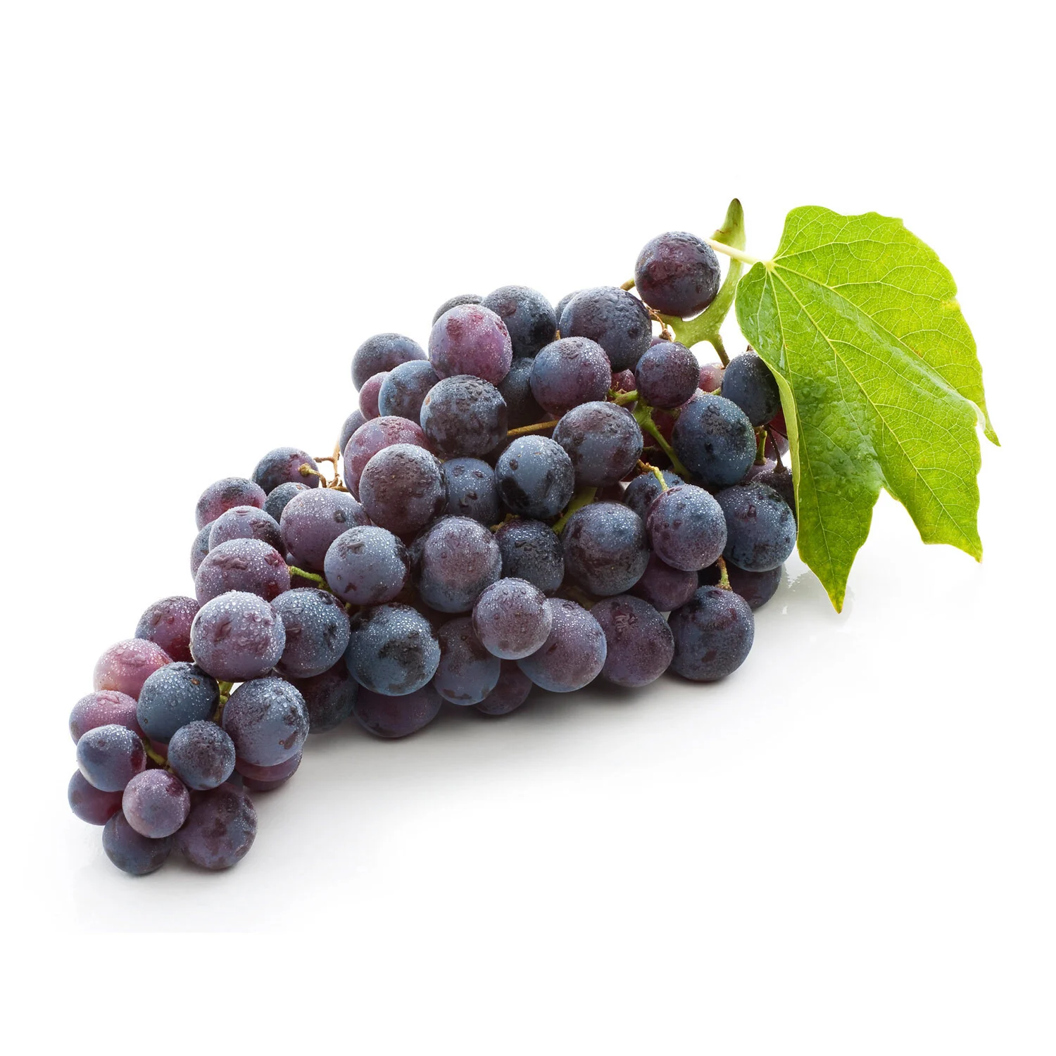 raisin