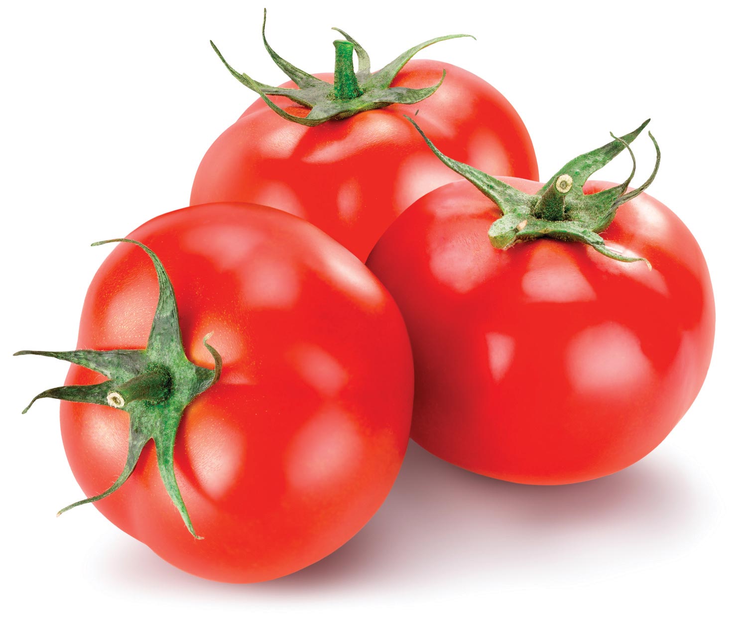 tomate